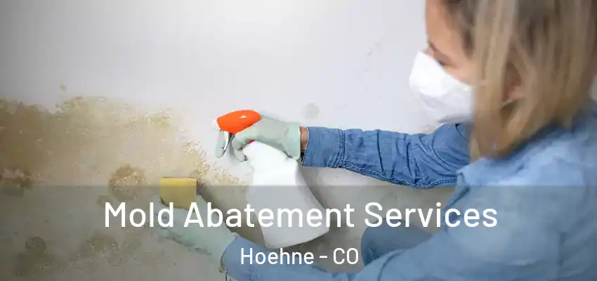 Mold Abatement Services Hoehne - CO