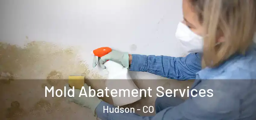  Mold Abatement Services Hudson - CO
