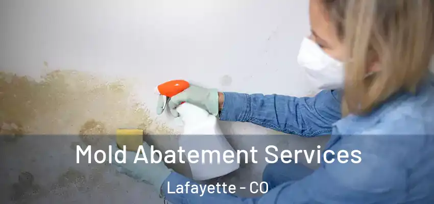  Mold Abatement Services Lafayette - CO