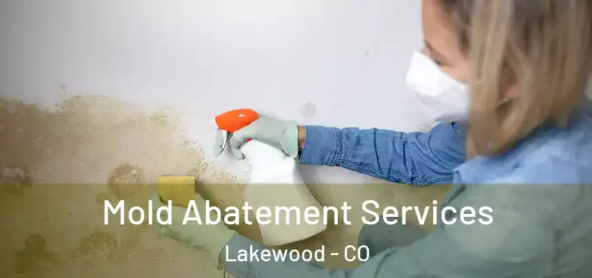 Mold Abatement Services Lakewood - CO