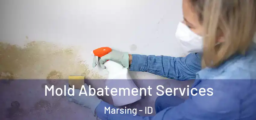  Mold Abatement Services Marsing - ID