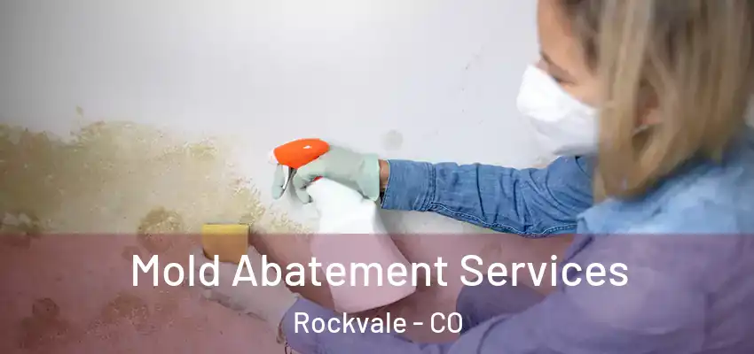 Mold Abatement Services Rockvale - CO