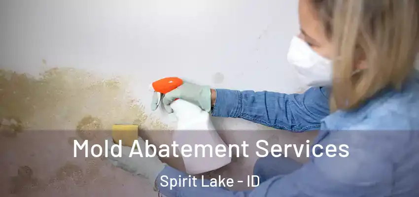 Mold Abatement Services Spirit Lake - ID