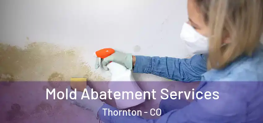 Mold Abatement Services Thornton - CO
