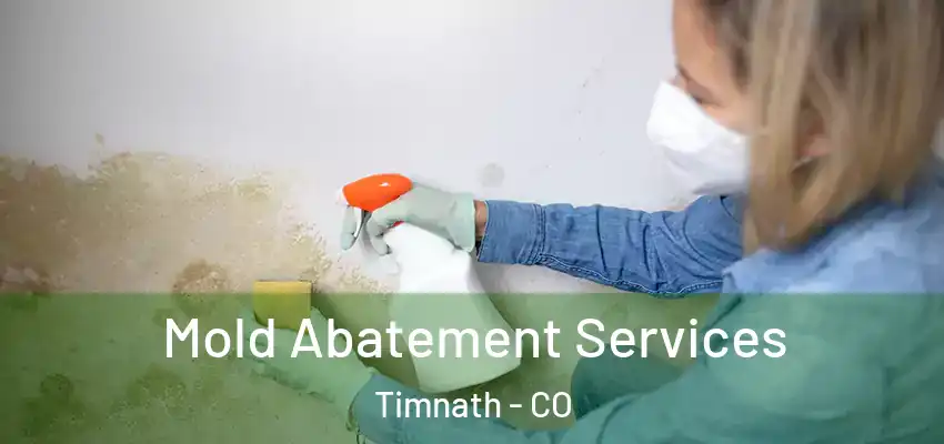  Mold Abatement Services Timnath - CO