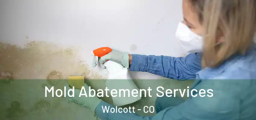 Mold Abatement Services Wolcott - CO