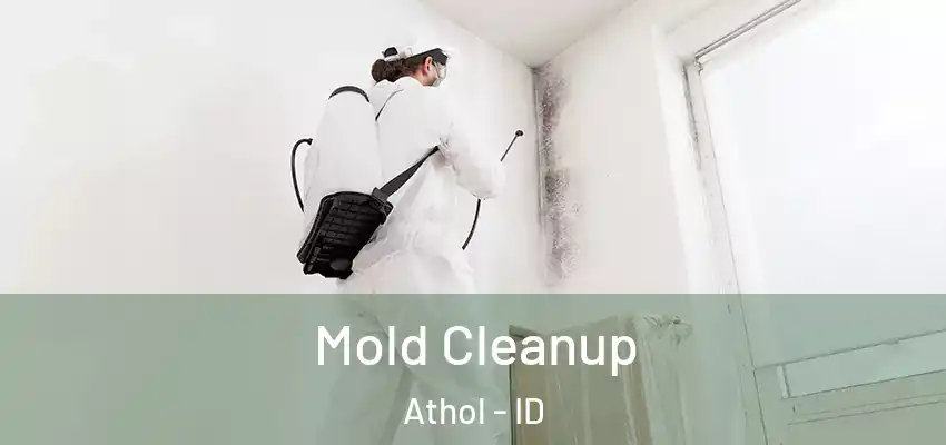 Mold Cleanup Athol - ID