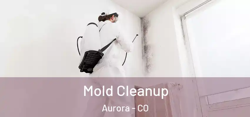 Mold Cleanup Aurora - CO