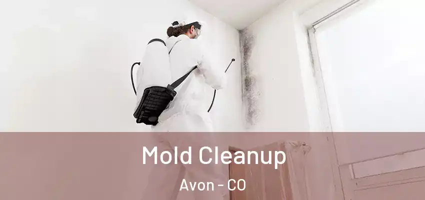 Mold Cleanup Avon - CO