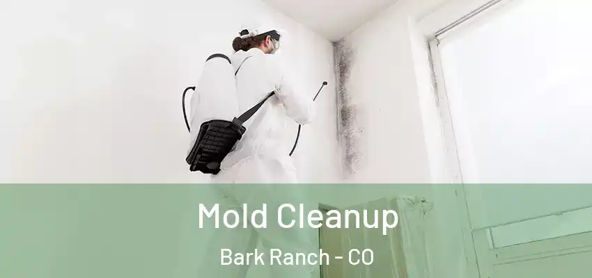  Mold Cleanup Bark Ranch - CO