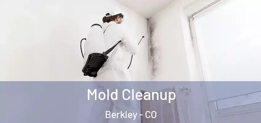  Mold Cleanup Berkley - CO