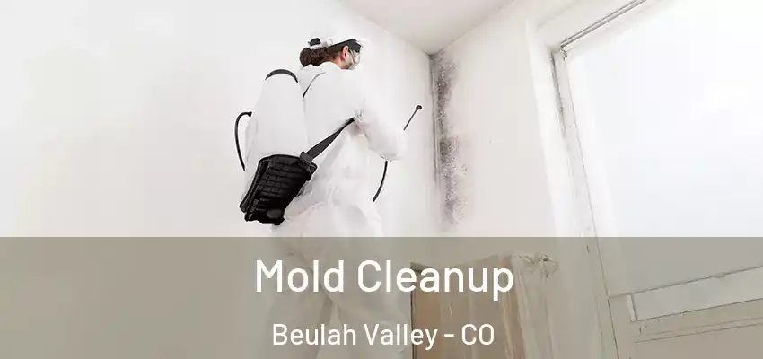  Mold Cleanup Beulah Valley - CO