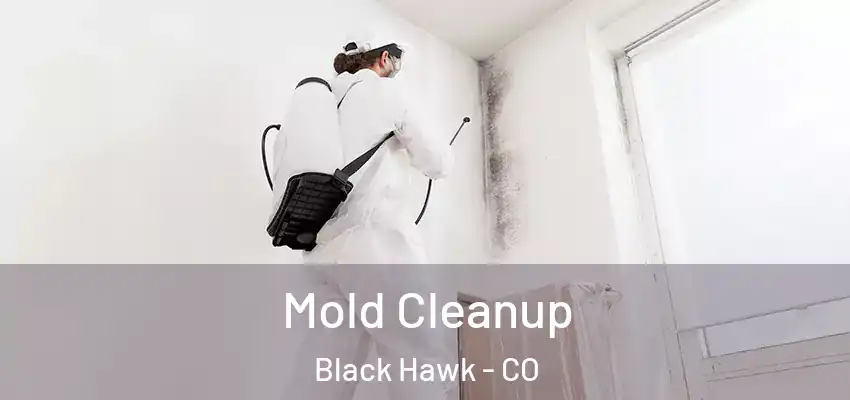  Mold Cleanup Black Hawk - CO