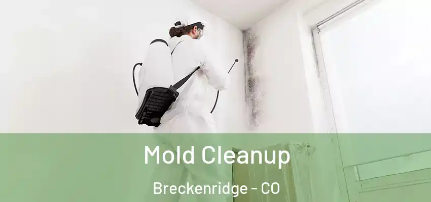  Mold Cleanup Breckenridge - CO