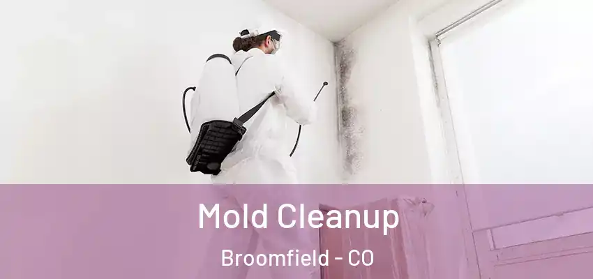  Mold Cleanup Broomfield - CO