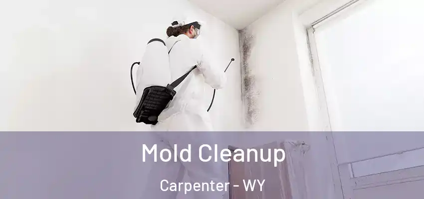 Mold Cleanup Carpenter - WY