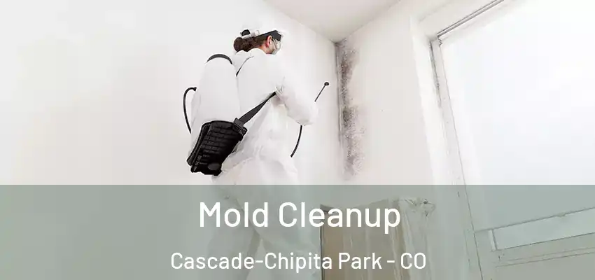  Mold Cleanup Cascade-Chipita Park - CO