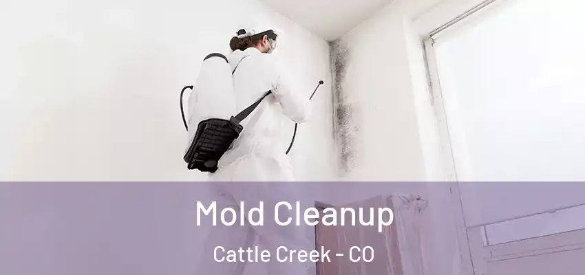  Mold Cleanup Cattle Creek - CO