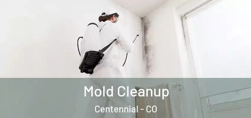  Mold Cleanup Centennial - CO