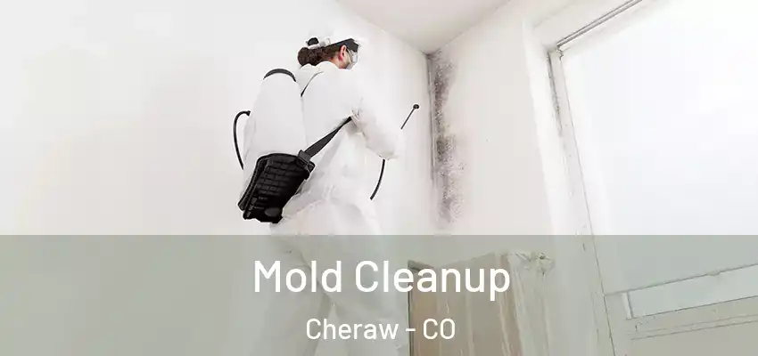 Mold Cleanup Cheraw - CO