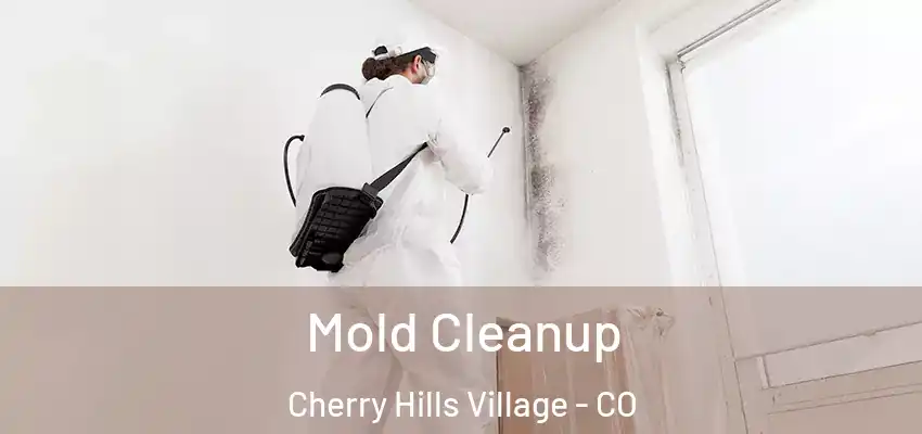  Mold Cleanup Cherry Hills Village - CO