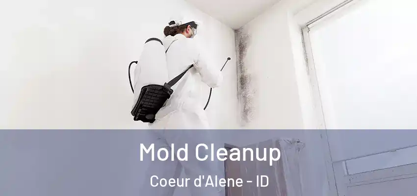  Mold Cleanup Coeur d'Alene - ID