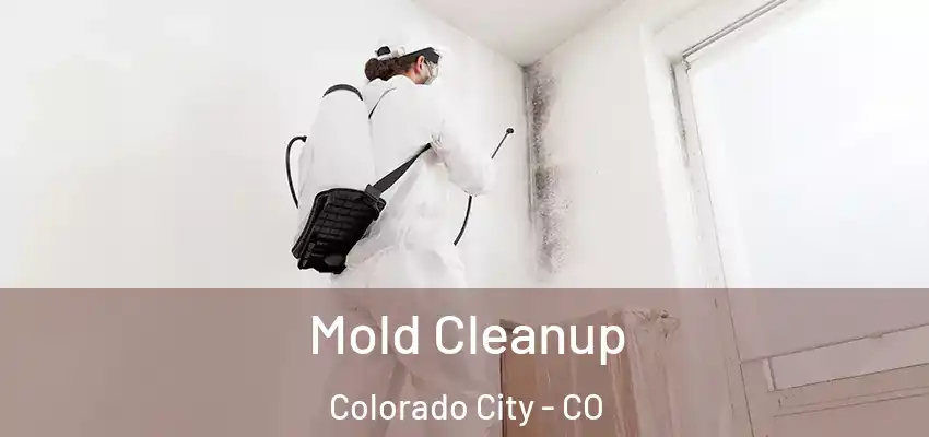  Mold Cleanup Colorado City - CO