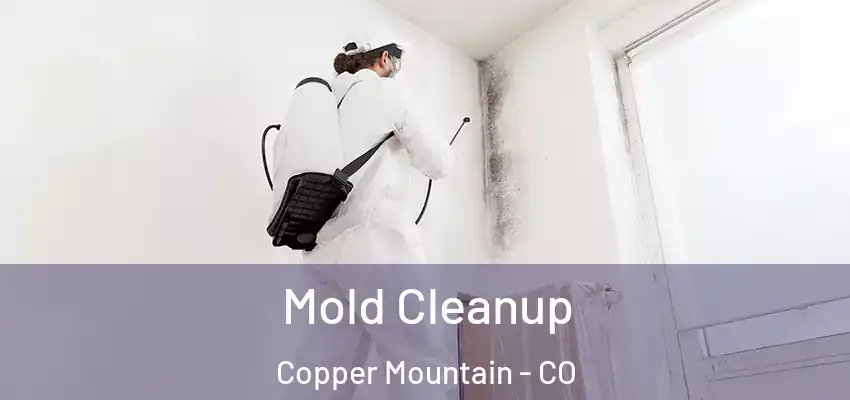  Mold Cleanup Copper Mountain - CO