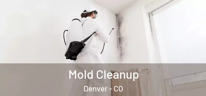  Mold Cleanup Denver - CO
