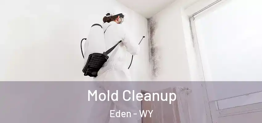 Mold Cleanup Eden - WY