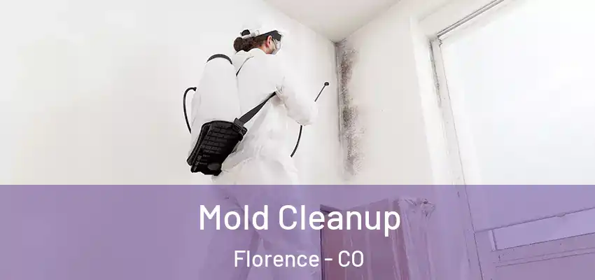  Mold Cleanup Florence - CO