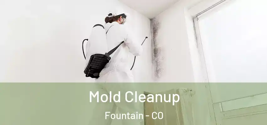  Mold Cleanup Fountain - CO