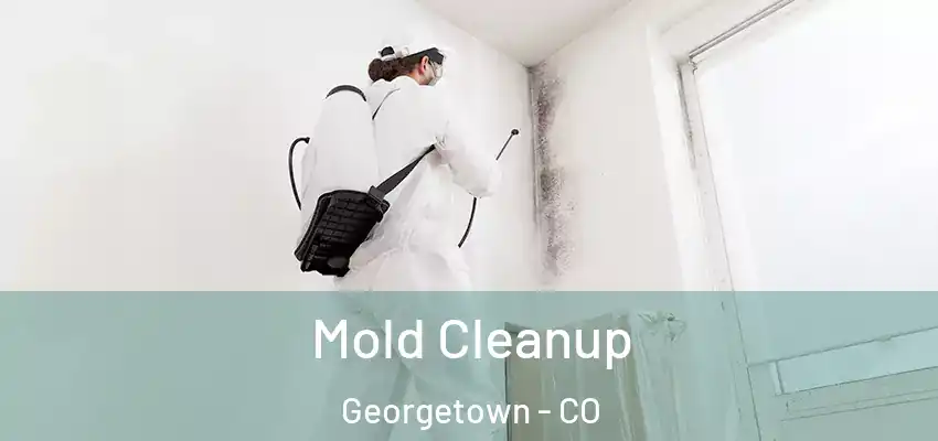 Mold Cleanup Georgetown - CO