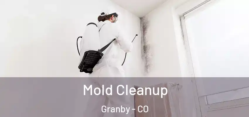  Mold Cleanup Granby - CO