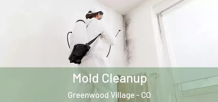  Mold Cleanup Greenwood Village - CO