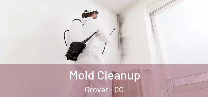  Mold Cleanup Grover - CO