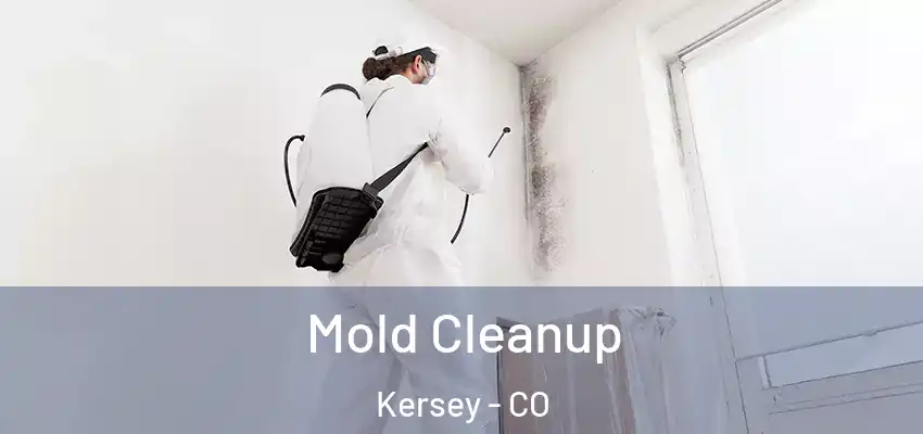  Mold Cleanup Kersey - CO