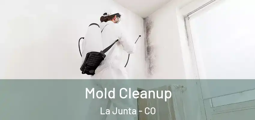  Mold Cleanup La Junta - CO