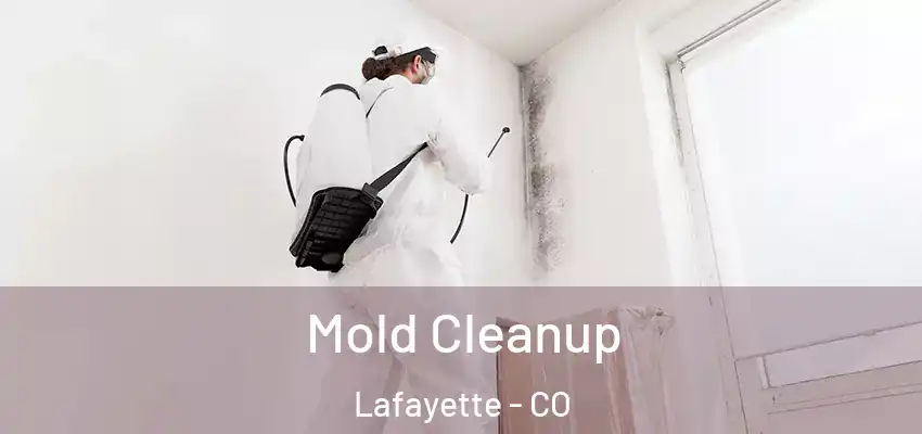  Mold Cleanup Lafayette - CO