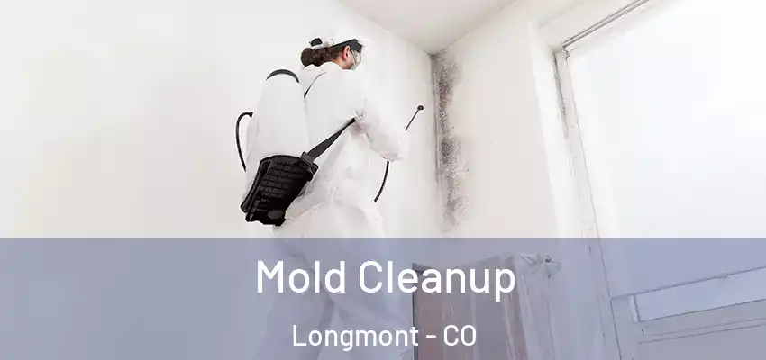  Mold Cleanup Longmont - CO