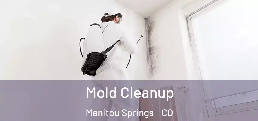 Mold Cleanup Manitou Springs - CO