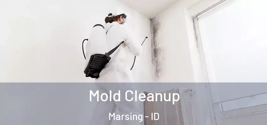 Mold Cleanup Marsing - ID