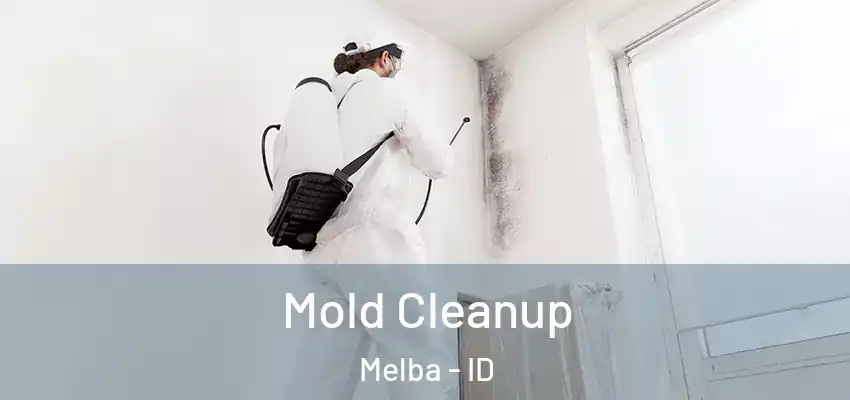 Mold Cleanup Melba - ID