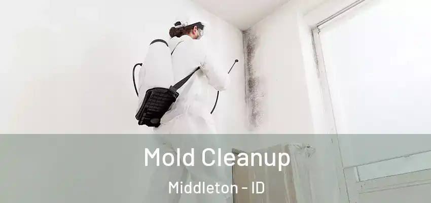 Mold Cleanup Middleton - ID