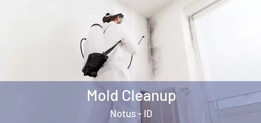  Mold Cleanup Notus - ID
