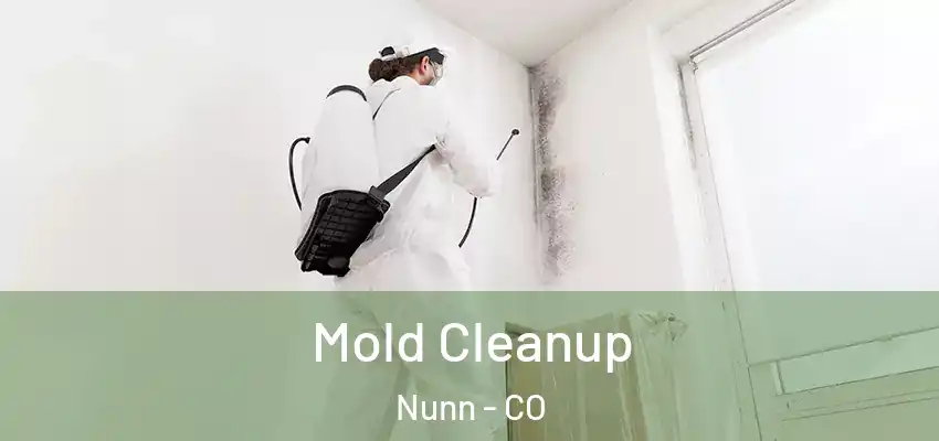  Mold Cleanup Nunn - CO