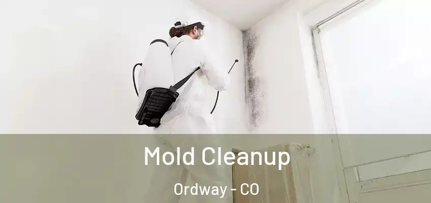 Mold Cleanup Ordway - CO