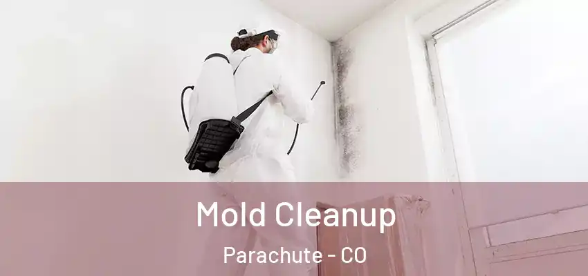  Mold Cleanup Parachute - CO