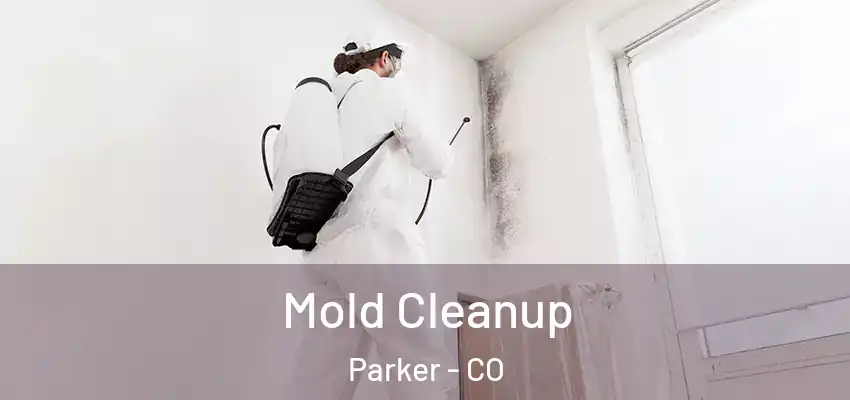 Mold Cleanup Parker - CO