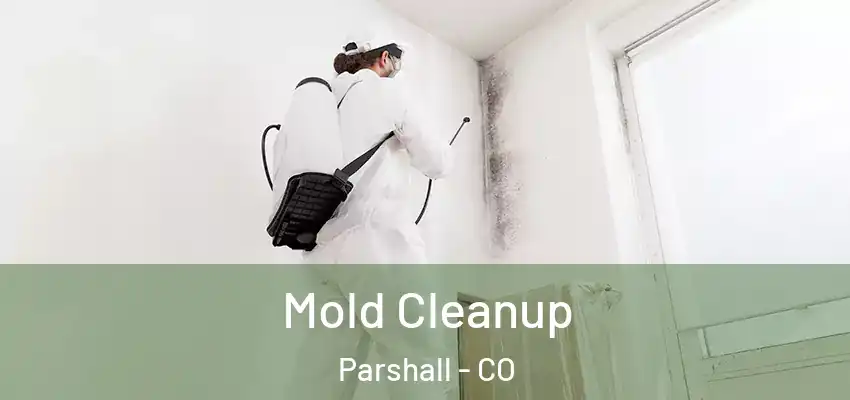  Mold Cleanup Parshall - CO